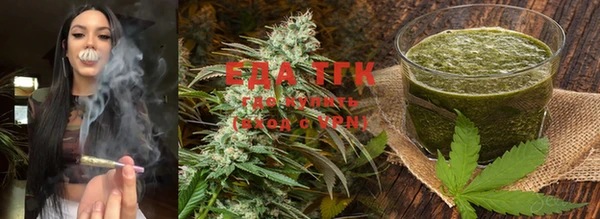 индика Осинники