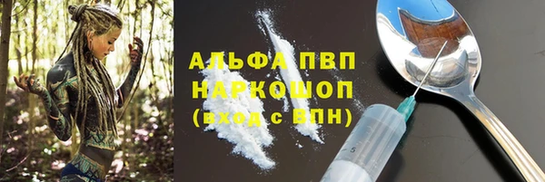 индика Осинники