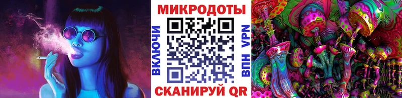 Купить закладки Южа Галлюциногенные грибы Psilocybine cubensis